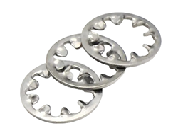 Inconel Tooth Washer